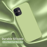 Cordking Designed for iPhone 12 Case, Designed for iPhone 12 Pro Case, Silicone Shockproof Phone Case with [Soft Anti-Scratch Microfiber Lining] 6.1 inch, Tea Green