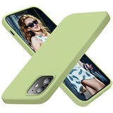 Cordking Designed for iPhone 12 Case, Designed for iPhone 12 Pro Case, Silicone Shockproof Phone Case with [Soft Anti-Scratch Microfiber Lining] 6.1 inch, Tea Green